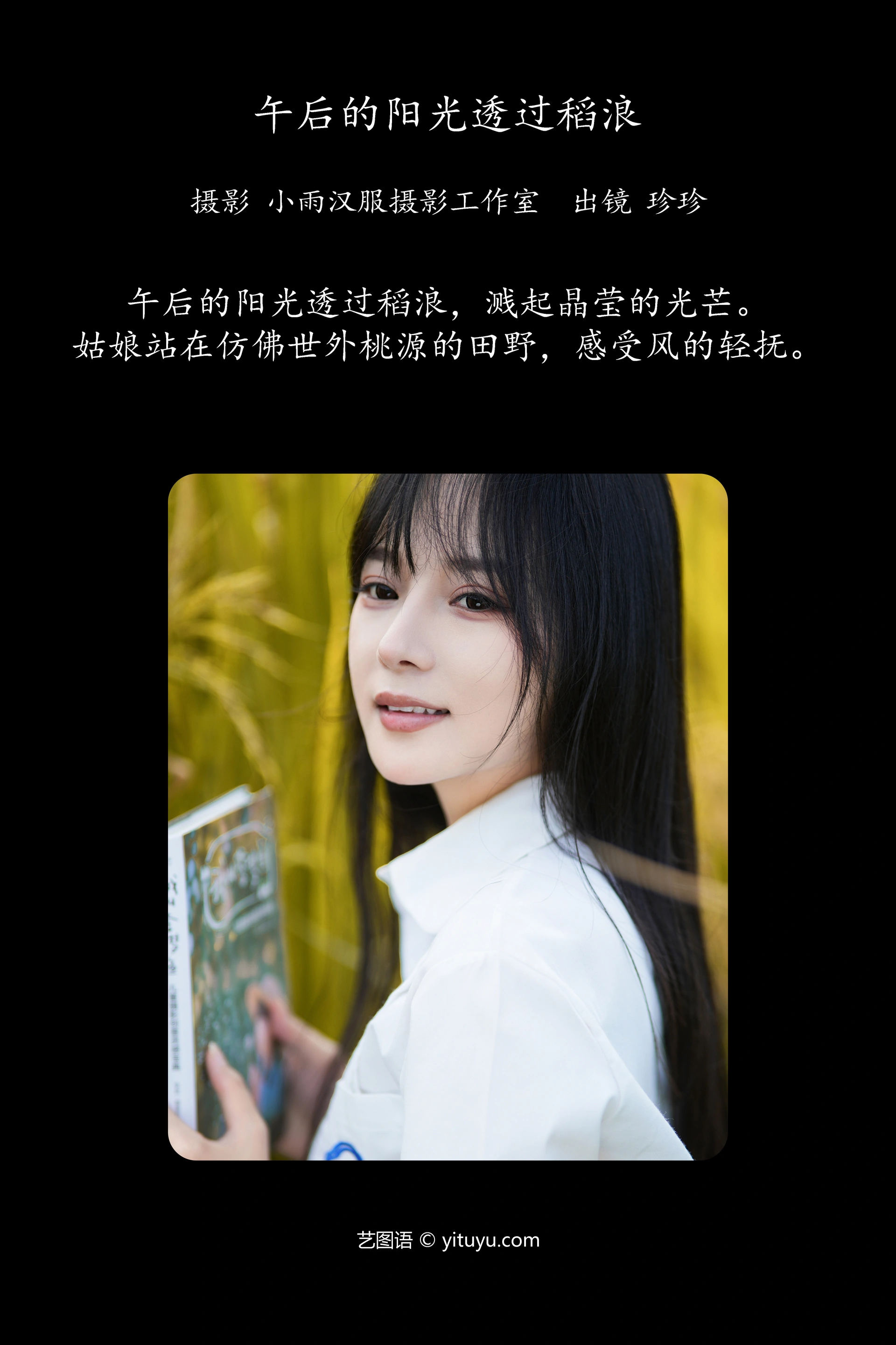 [YITUYU艺图语]2023.11.26 午后的阳光透过稻浪 我是小岁岁 1